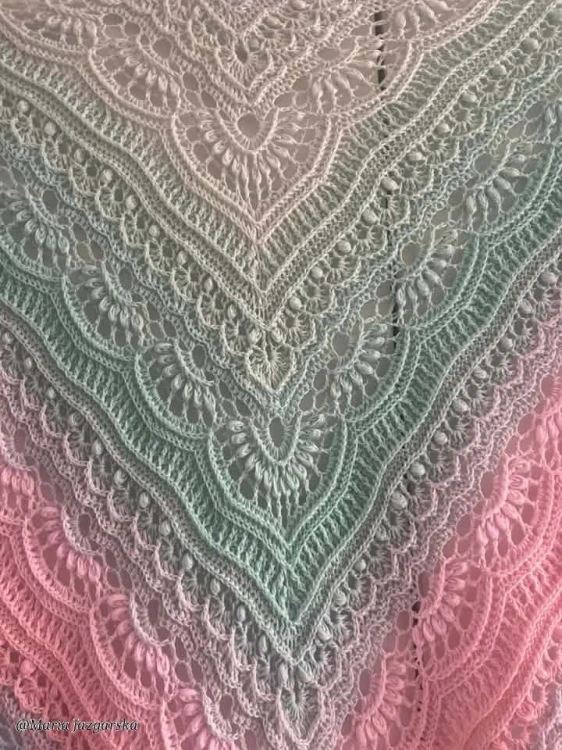 738668019_1801429354186937_674348511417822641_n.jpg