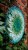 IMG-20260719-WA0011.jpg