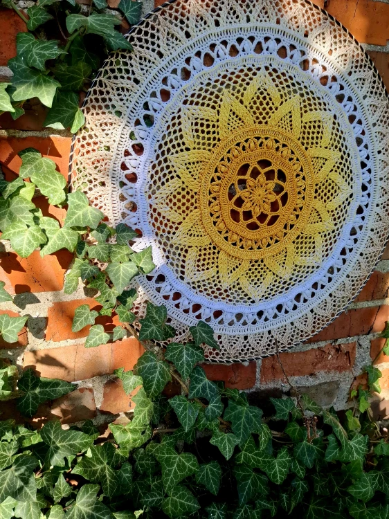 20260922_160850.jpg